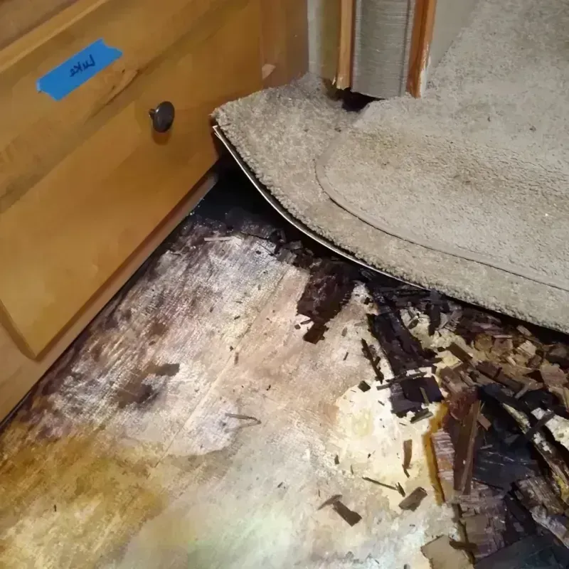 Best Wood Floor Water Damage Service in Bastrop, TX